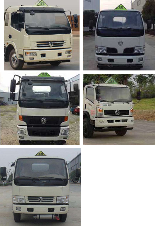 ���������5�����ͳ�